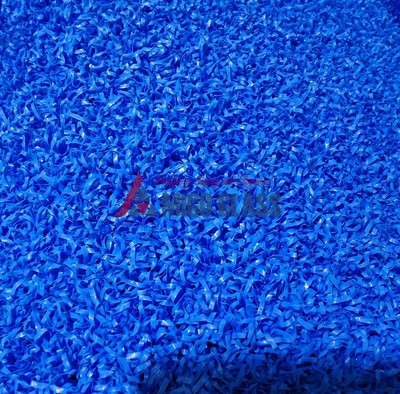 IMG20250523104538 IMG20250523104538